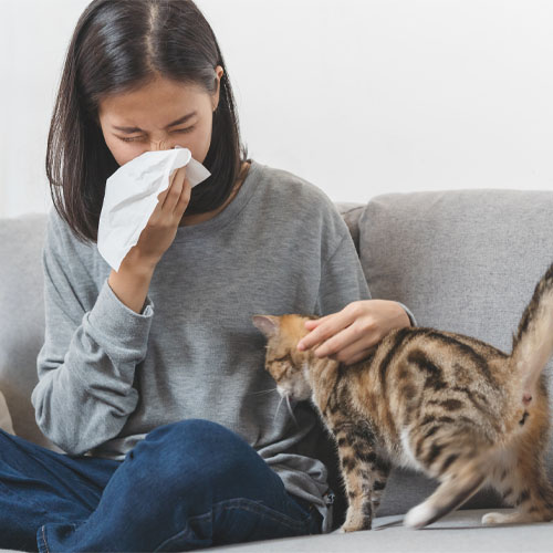 What’s the Best Air Purifier for Asthma?