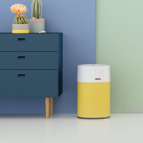 Why You Need an Air Purifier in 2023