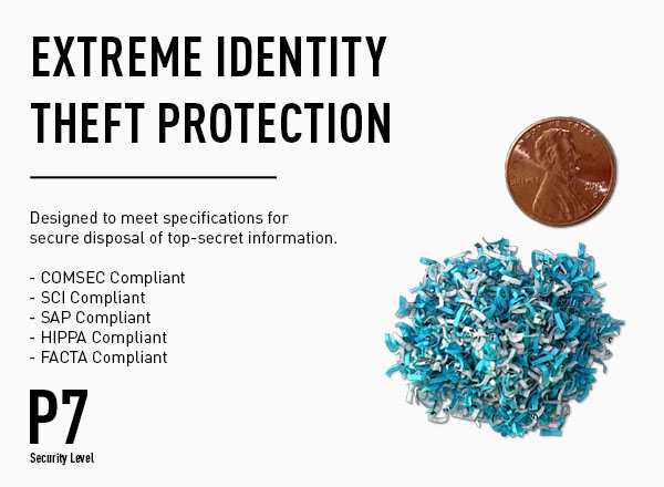 extreme identity theft protection